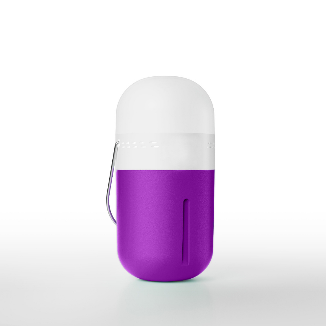 Portable Capsule Lamp