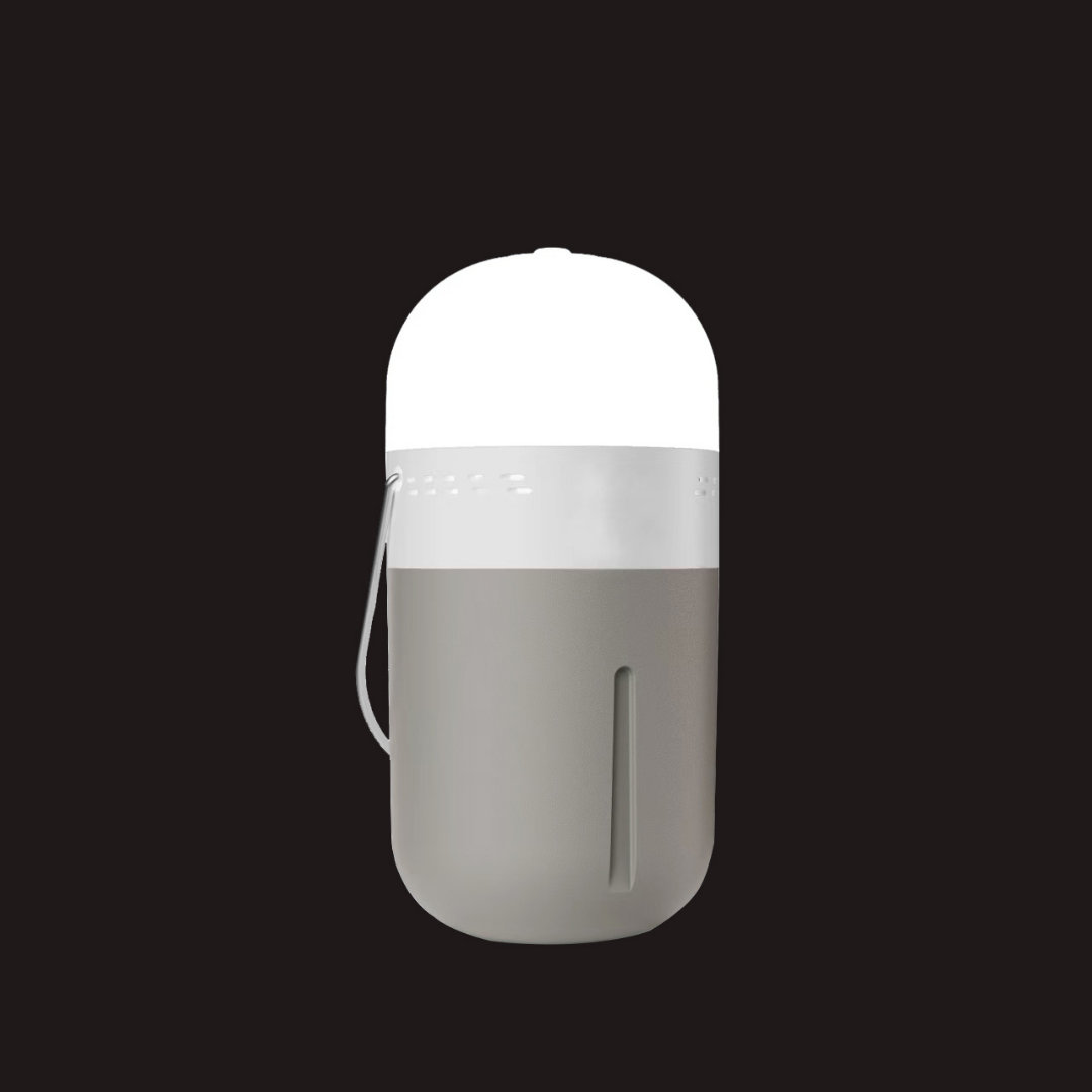 Portable Capsule Lamp